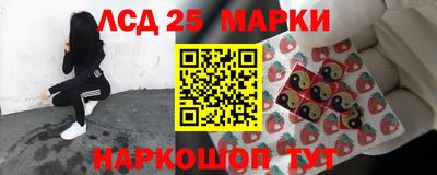 mdma Гатчина