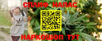 mdma Гатчина
