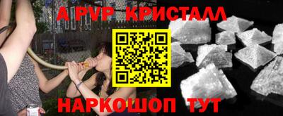 спиды Гагарин