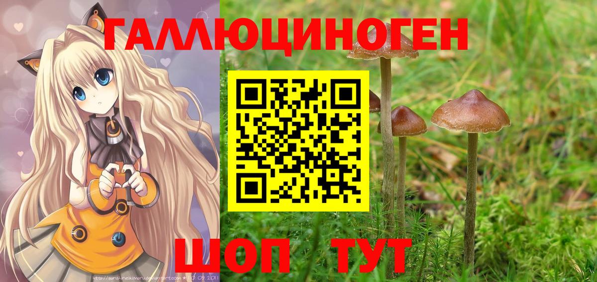 Галлюциногенные грибы Psilocybe  Вход с VPN  Мыски 