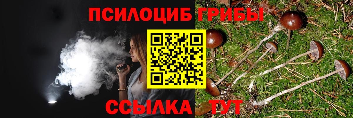 Псилоцибиновые грибы GOLDEN TEACHER Мыски